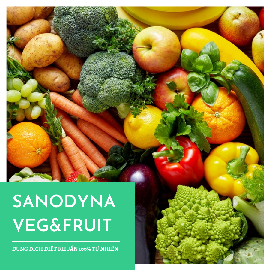 sanodyna veg&fruit