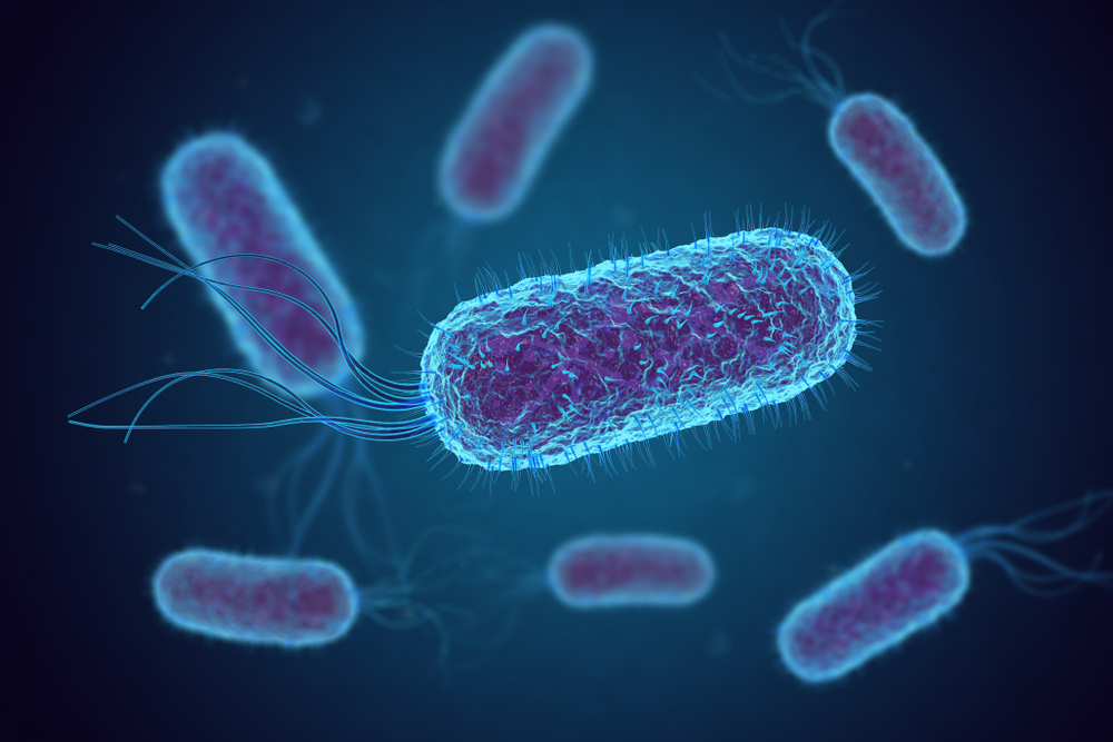 vi khuẩn E.coli sinh độc tố